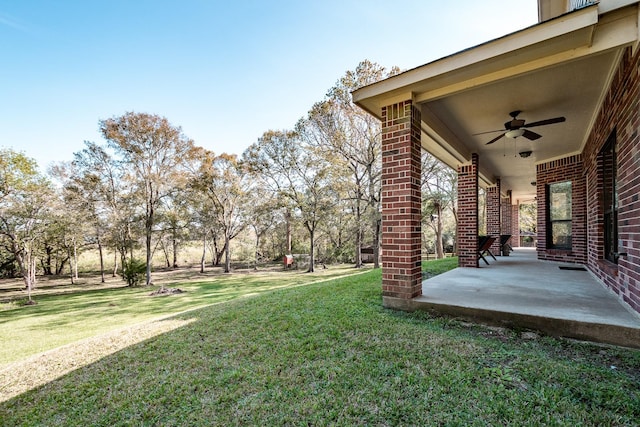 view of yard featuring a patio and ceiling fan