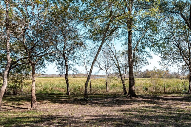 view of landscape