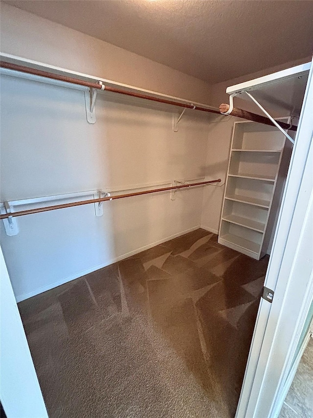 spacious closet with carpet
