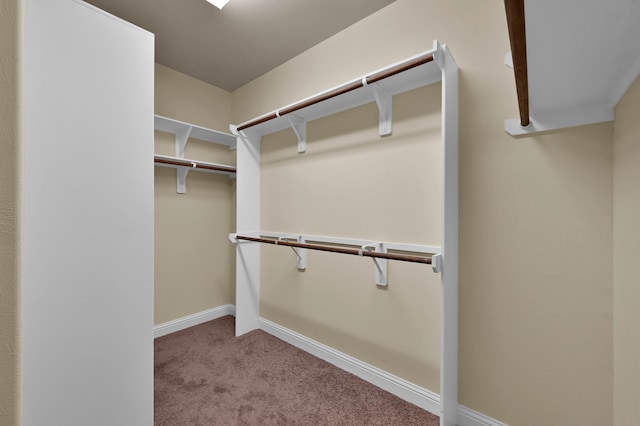 8107 Lockridge Terrace Ln, Cypress, TX 77433 - spacious closet featuring carpet floors