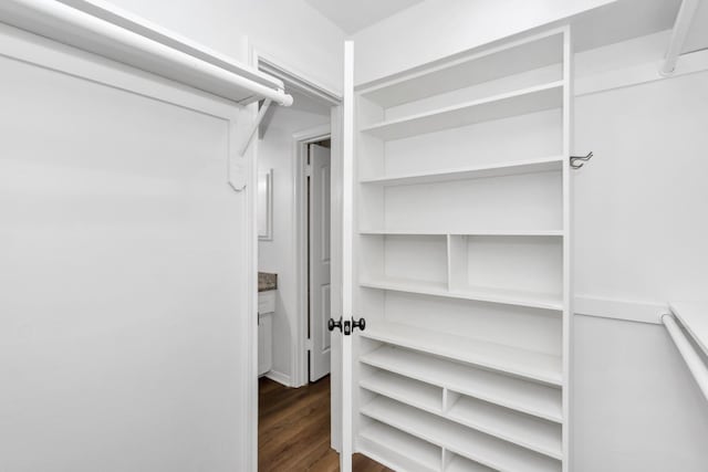 walk in closet featuring dark wood finished floors