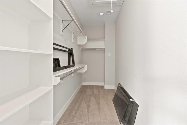 walk in closet with attic access and carpet