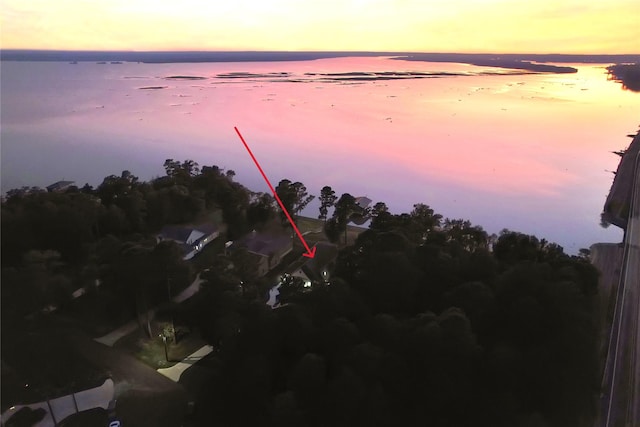 461 Pine Forest Acres Dr, Trinity, TX 75862 - aerial view at dusk featuring a water view