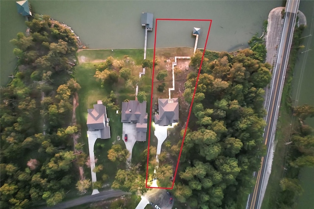 461 Pine Forest Acres Dr, Trinity, TX 75862 - birds eye view of property