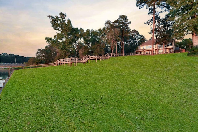 461 Pine Forest Acres Dr, Trinity, TX 75862 - view of yard at dusk
