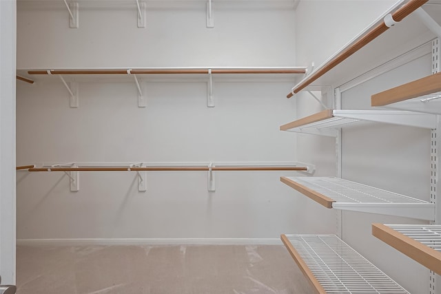 spacious closet featuring carpet flooring