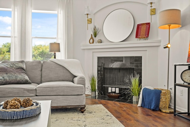 3631 Belmont Shore Ln, Missouri City, TX 77459 - living area featuring wood finished floors and a fireplace