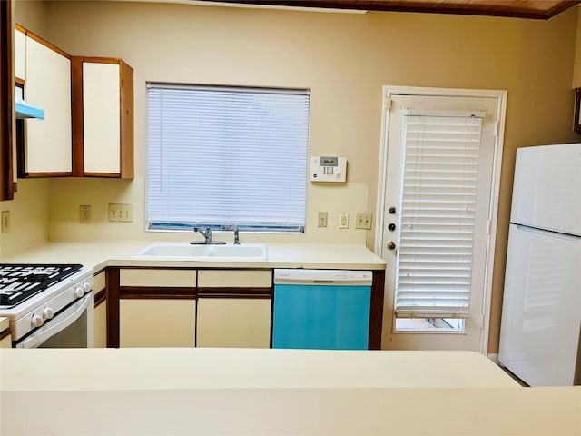 kitchen with white appliances, under cabinet range hood, light countertops, a sink, and white cabinetry