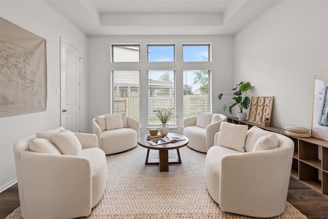 living area featuring a tray ceiling and wood finished floors