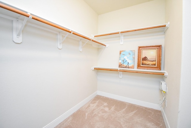 spacious closet with light colored carpet