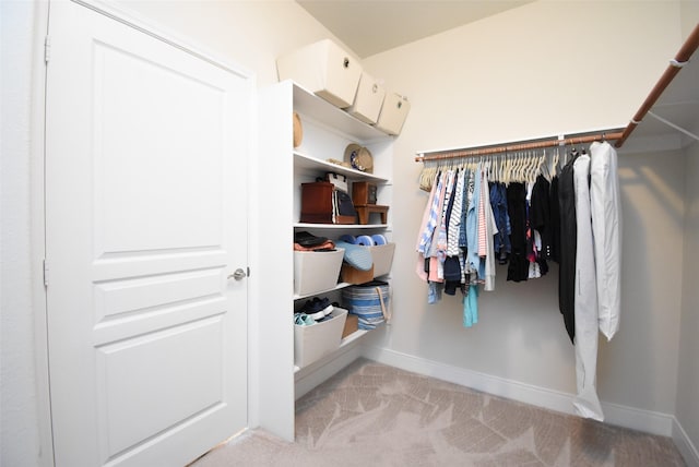 walk in closet featuring light carpet