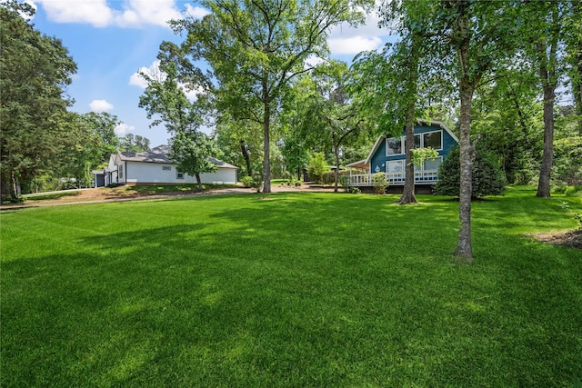 view of yard featuring a deck