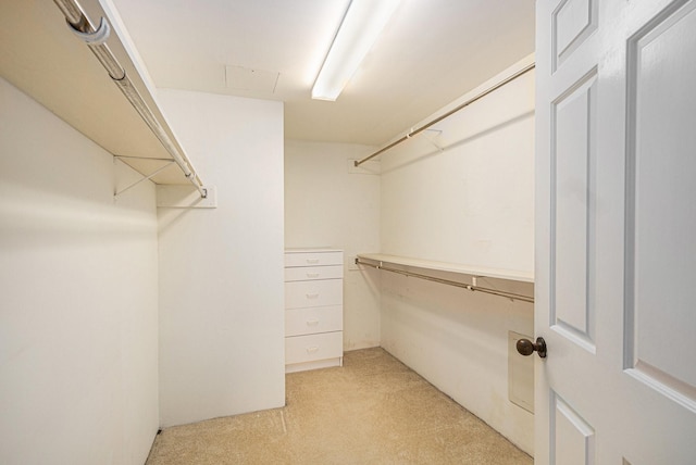 walk in closet with light carpet