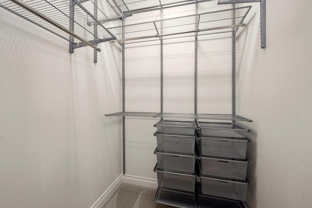 16711 Arboleda Dr, Humble, TX 77346 - spacious closet with carpet floors