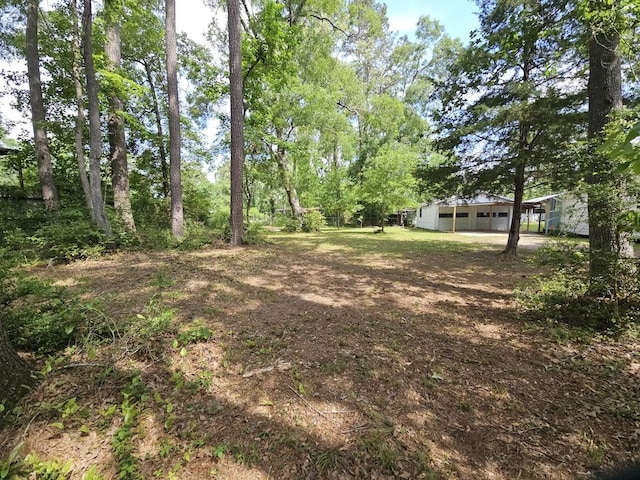 view of yard with a carport