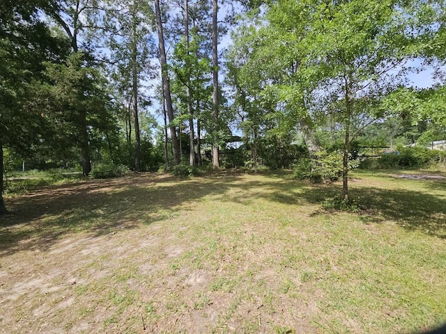 view of grassy yard