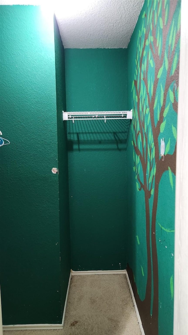spacious closet featuring carpet flooring