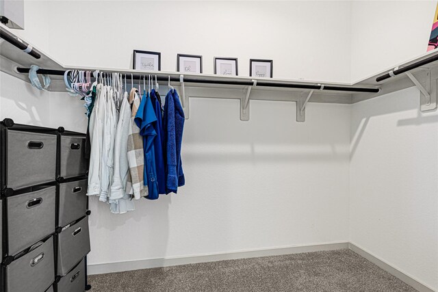 spacious closet featuring carpet floors