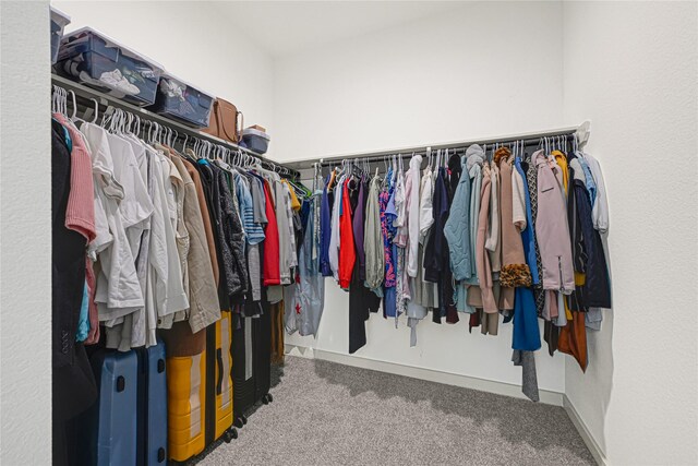 spacious closet with carpet flooring