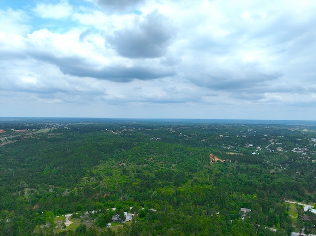 100 Mahalo Ct, Bastrop, TX 78602 - bird's eye view of a heavily wooded area