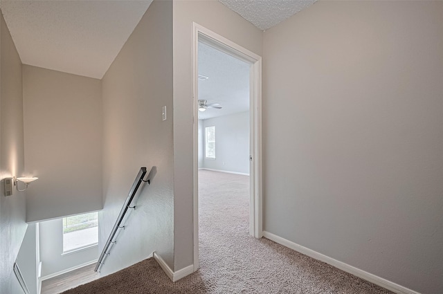 23931 Griffin House Ln, Katy, TX 77493 - hallway featuring an upstairs landing, a wealth of natural light, carpet, and baseboards