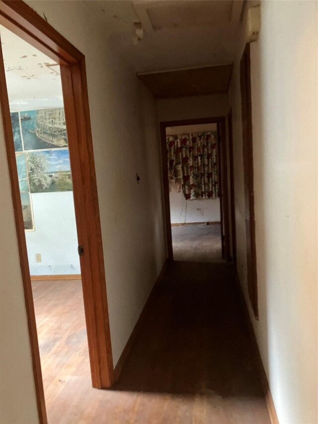 hall featuring light wood finished floors