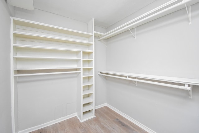 walk in closet with wood finished floors