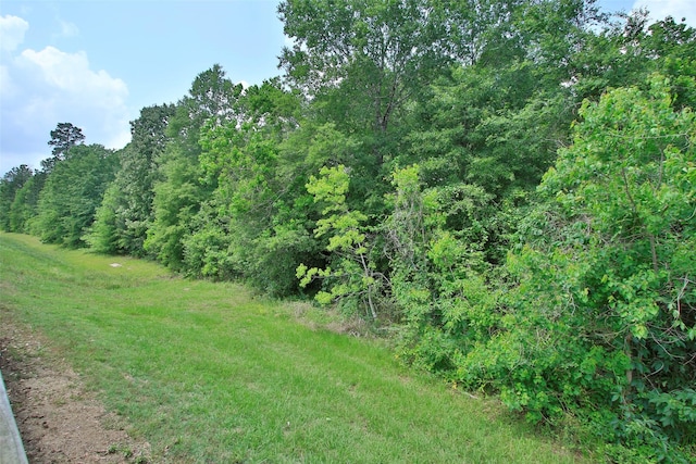 view of nature featuring a view of trees
