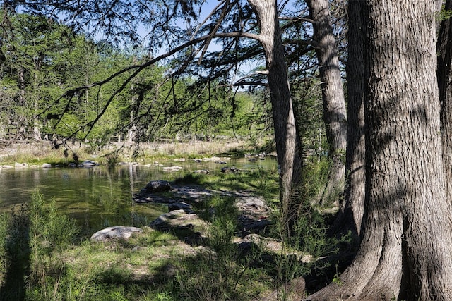 view of nature