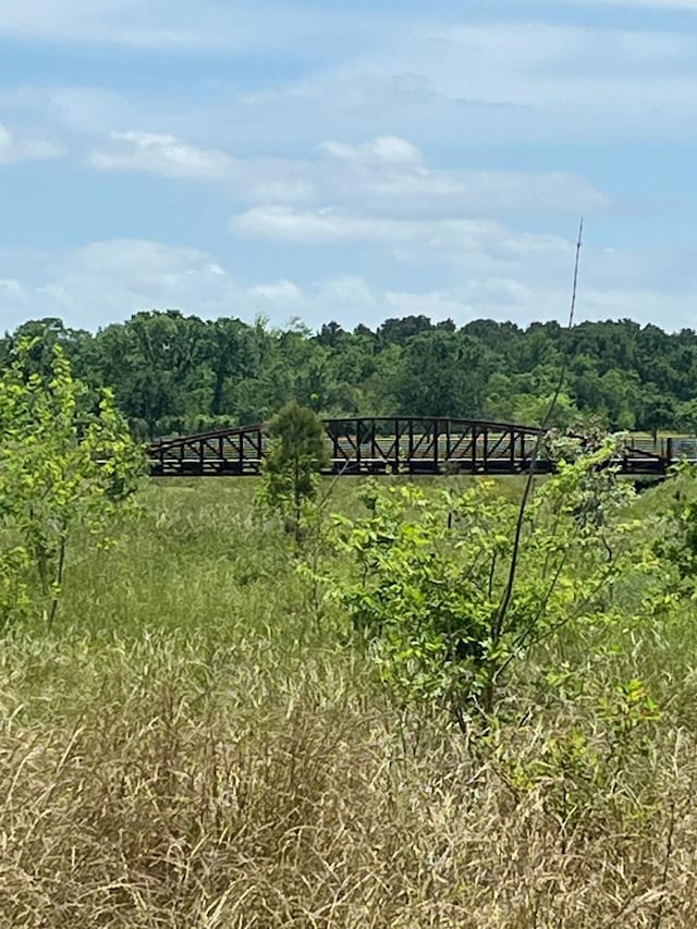 view of nature with a wooded view