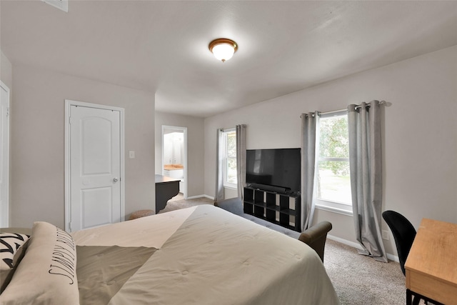 bedroom featuring baseboards and carpet flooring