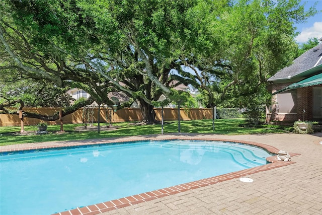 view of pool with a patio area, a fenced backyard, a yard, and a fenced in pool