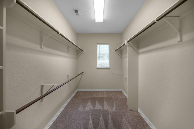 spacious closet featuring carpet flooring and visible vents