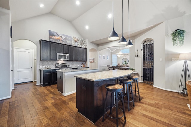 8143 Black Percher St, Conroe, TX 77385 - kitchen with a kitchen island with sink, appliances with stainless steel finishes, arched walkways, high vaulted ceiling, and dark wood-style flooring