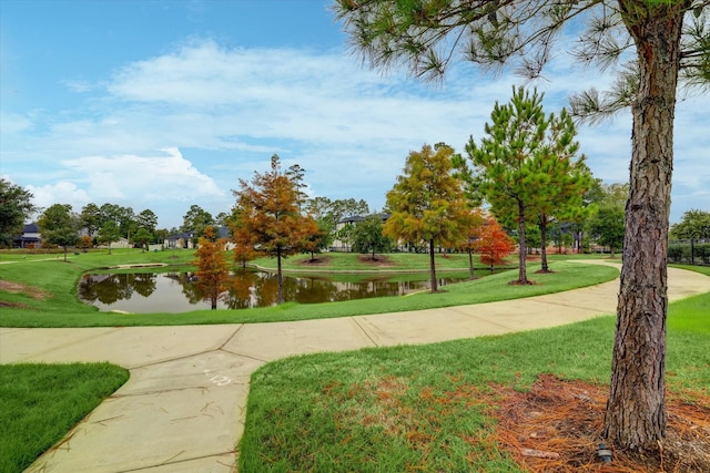8143 Black Percher St, Conroe, TX 77385 - view of property's community with a water view and a yard