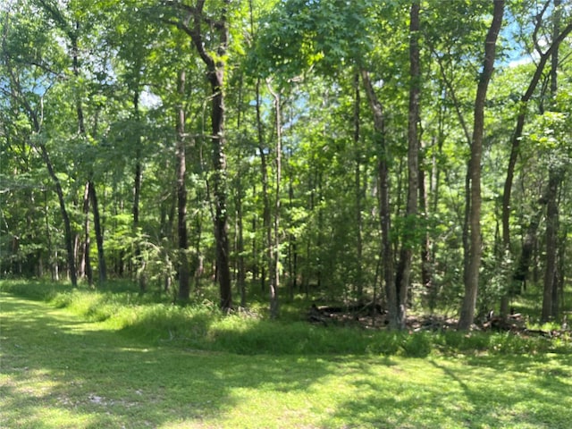 52 S Royale Greens Dr, Coldspring, TX 77331