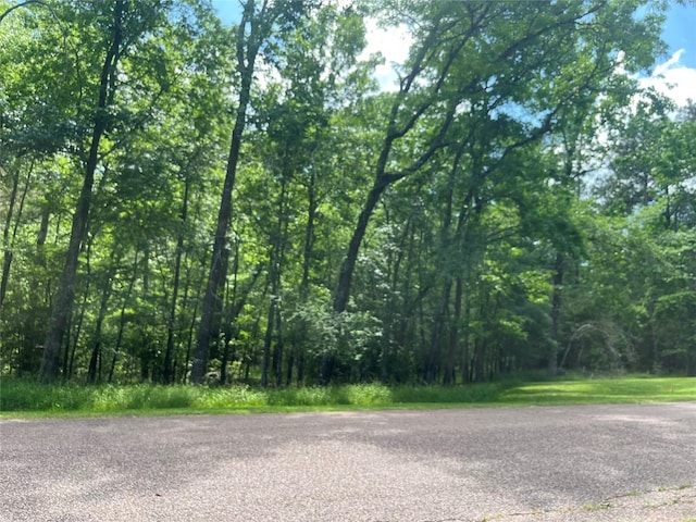 52 S Royale Greens Dr, Coldspring, TX 77331