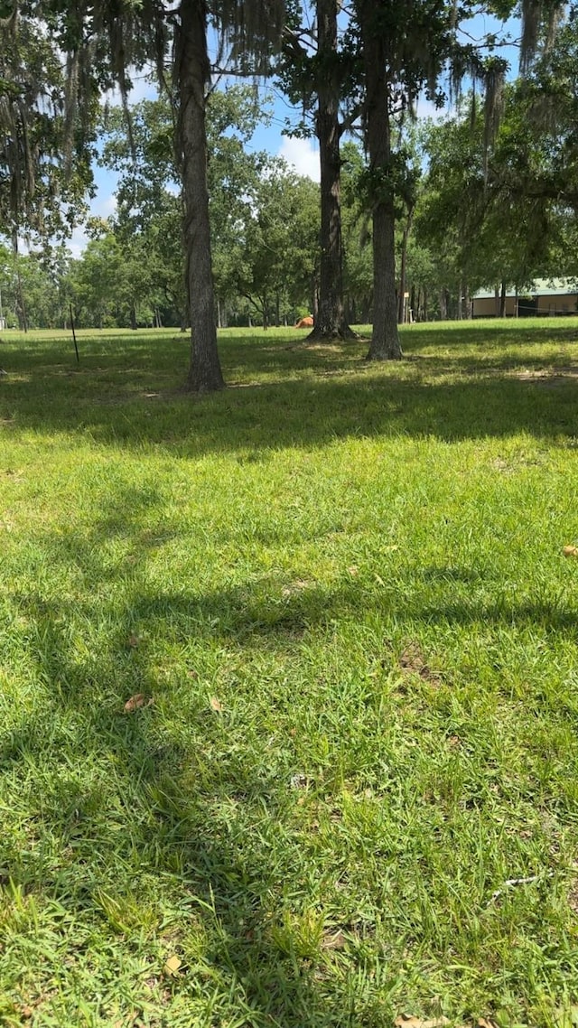 207 Creek Rd, Trinity, TX 75862