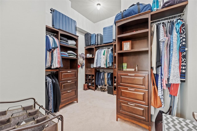 spacious closet featuring carpet flooring