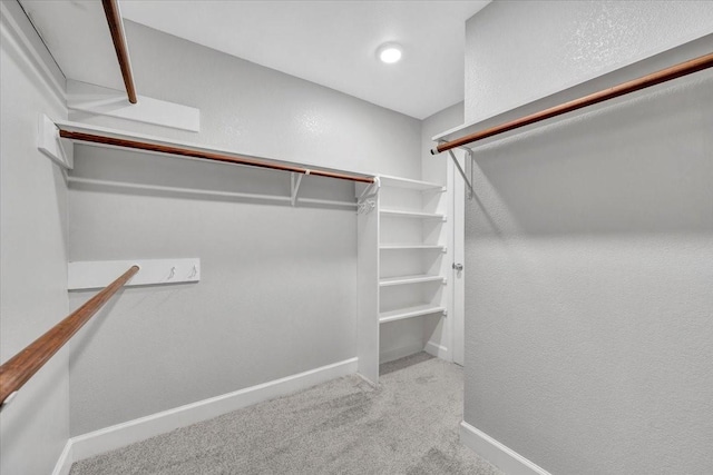 spacious closet featuring carpet