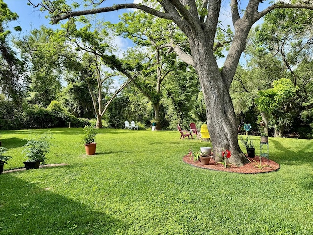 211 Southern Oaks Dr, Lake Jackson, TX 77566 - view of yard