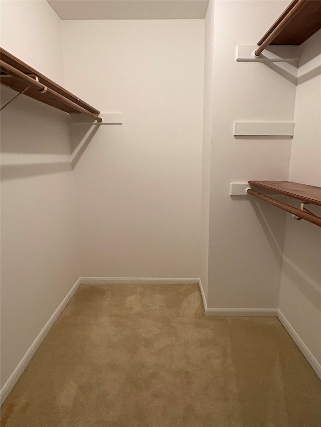 16514 Laurelfield Dr, Houston, TX 77059 - walk in closet with light colored carpet