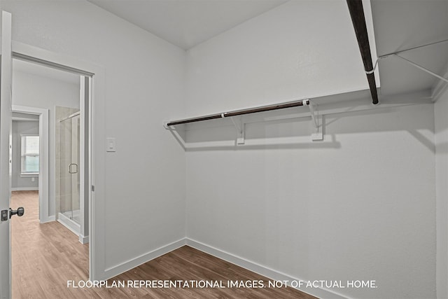 walk in closet featuring wood finished floors