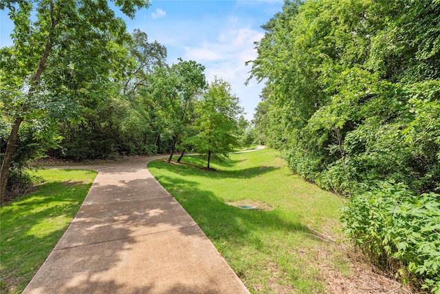 view of home's community with a yard