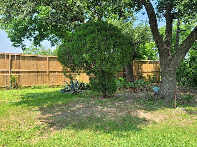 view of yard with a fenced backyard