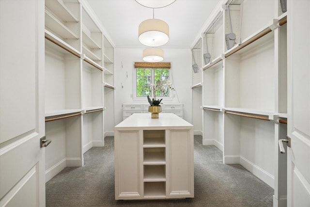 412 Redan St, Houston, TX 77009 - walk in closet with dark colored carpet