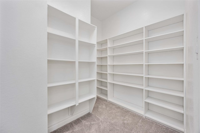 9306 Eckert Rd, Iowa Colony, TX 77583 - view of pantry