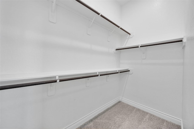 9306 Eckert Rd, Iowa Colony, TX 77583 - spacious closet with light carpet