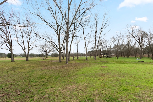 102 Camp St, Alleyton, TX 78935 - photo 7
