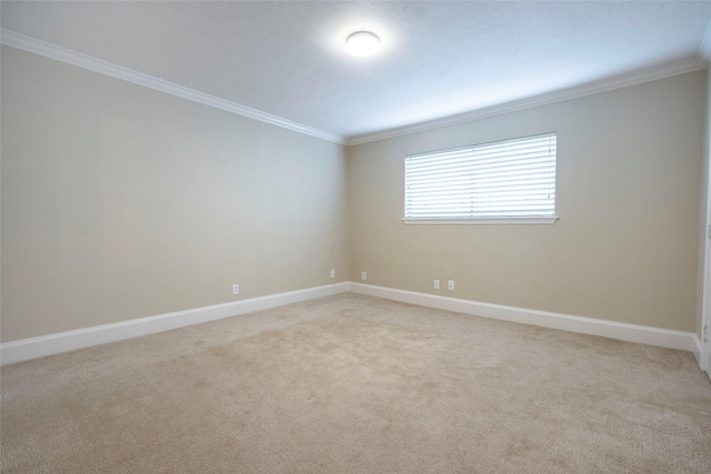 spare room featuring baseboards, light colored carpet, and crown molding
